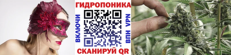 Бошки Шишки гибрид Нововоронеж